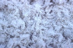 asbestos exposure lawsuits