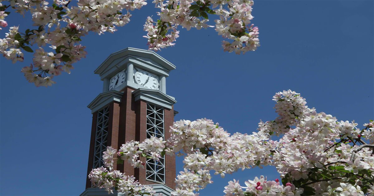 The Hospital of Central Connecticut