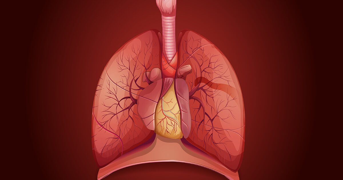 Thoracic Group, PA