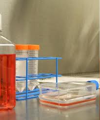 Immunotherapy Drug CRS-207