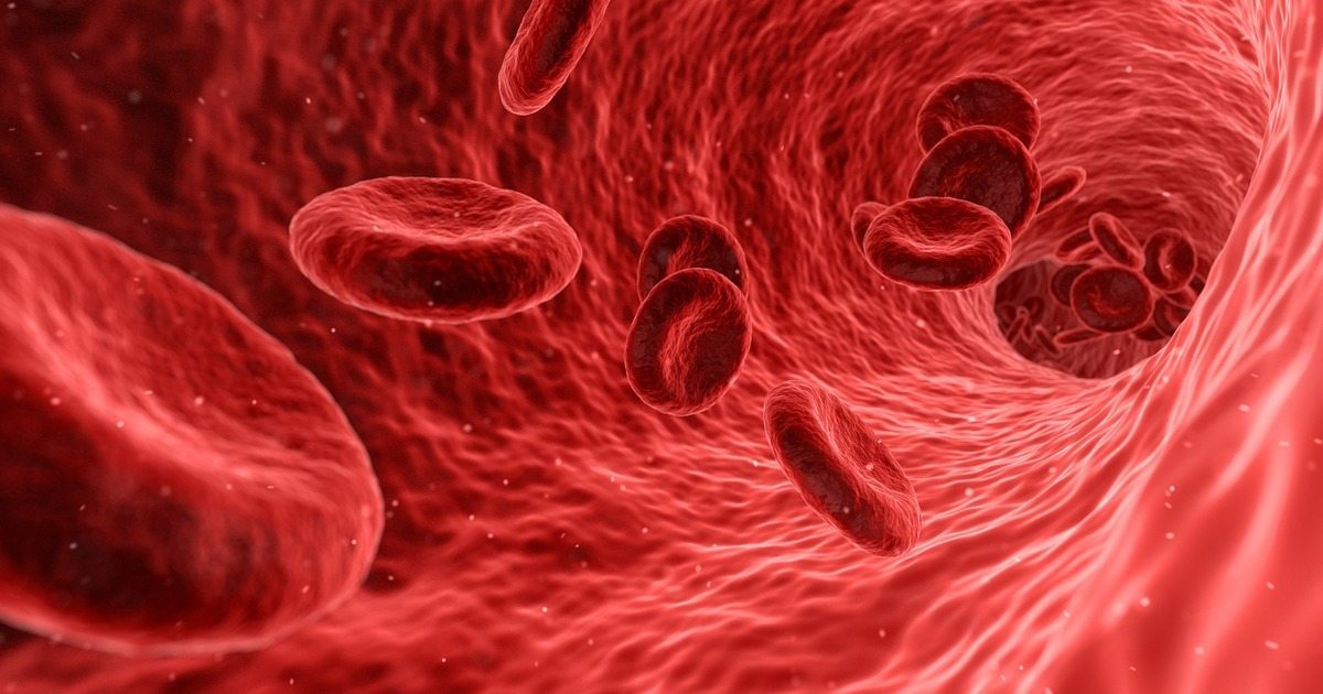 systemic chemotherapy mesothelioma