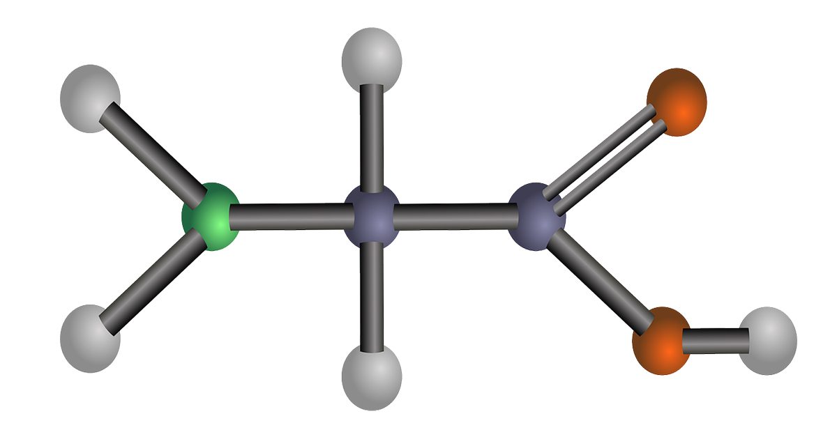 Amino Acids Diet Could Slow Mesothelioma Tumors