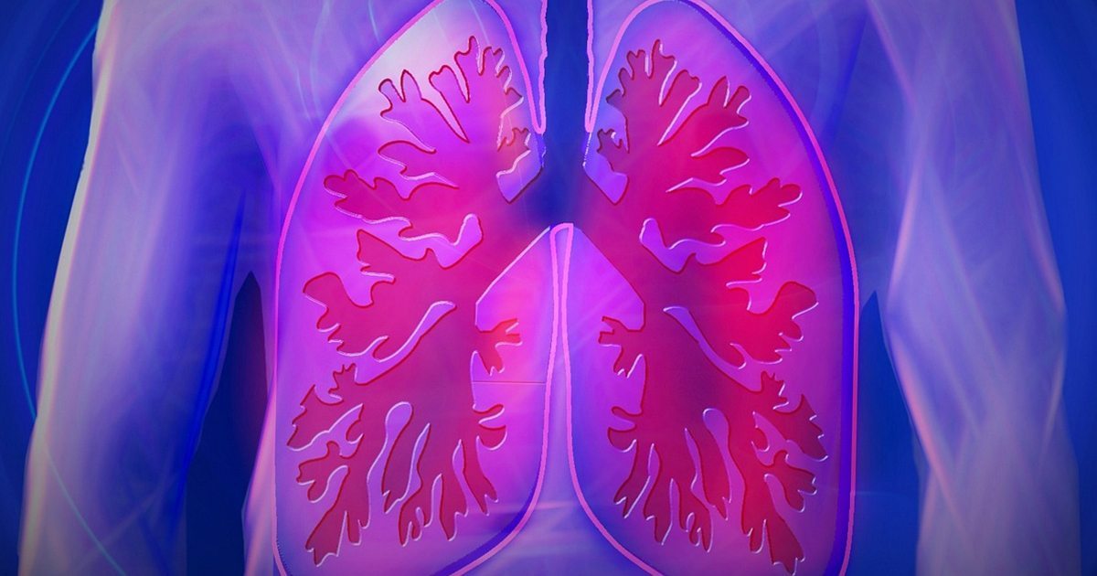 Drug Targets EGFR Protein in Lung Cancer _ Mesothelioma