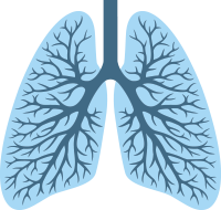 Lung Cancer asbestos