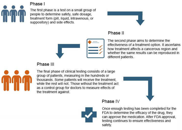 clinical trial process