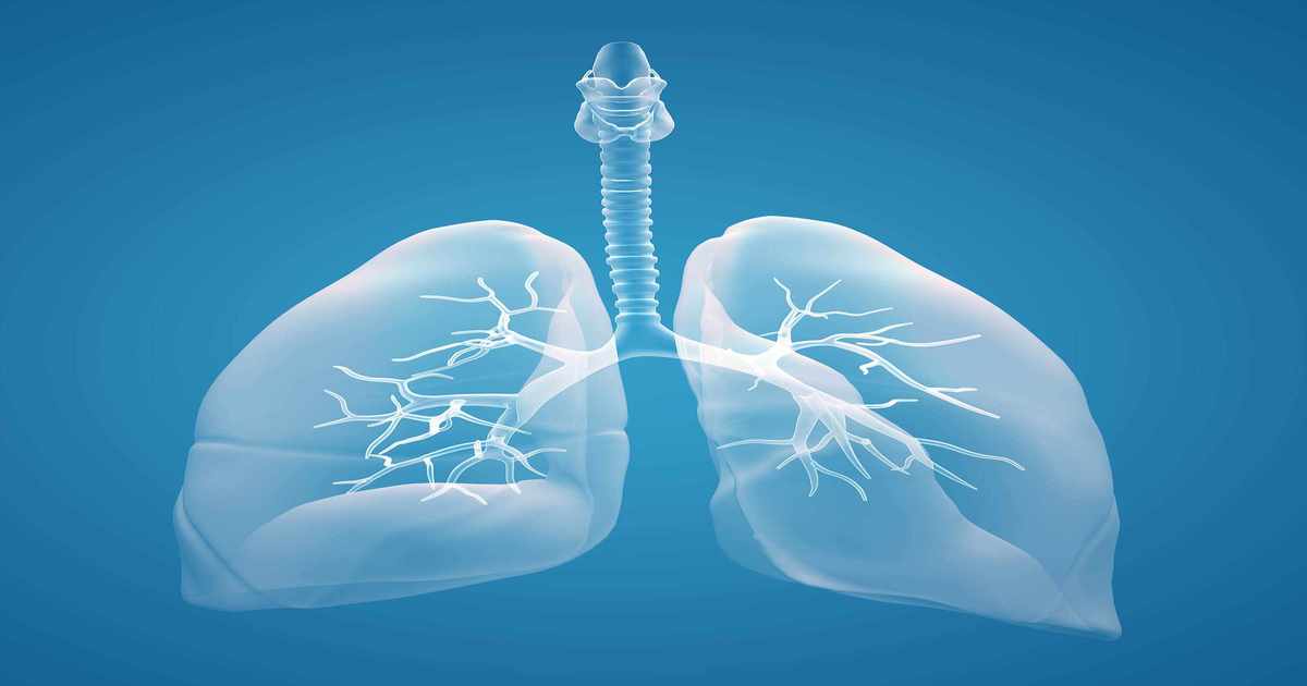 Lung Cancer Awareness Month - Mesothelioma