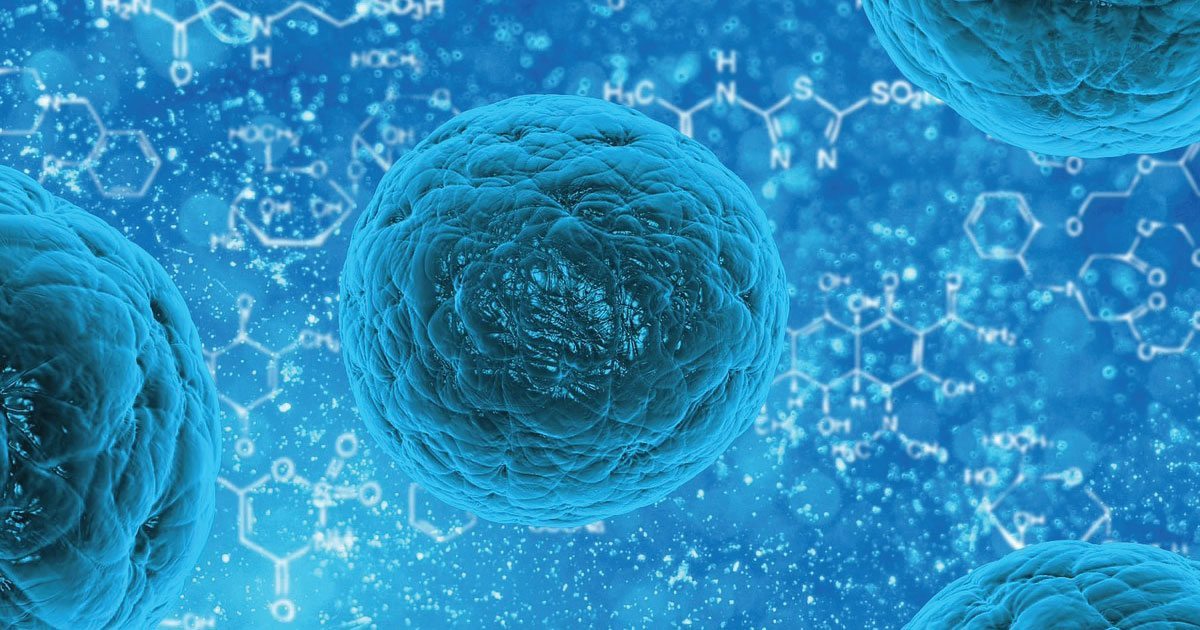 Researchers Find Way to Disrupt Cancer Stem Cell Growth