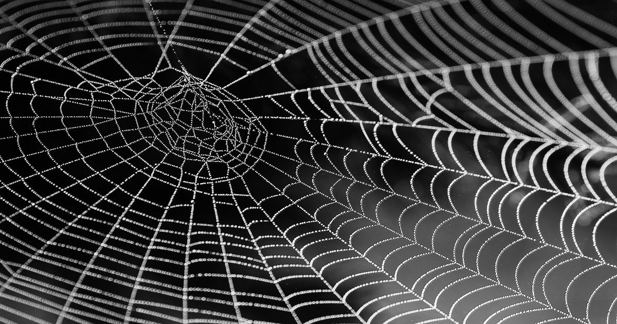 Spider Web - Novel Therapies for Mesothelioma