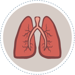 meso-stats-pleural-mesothelioma